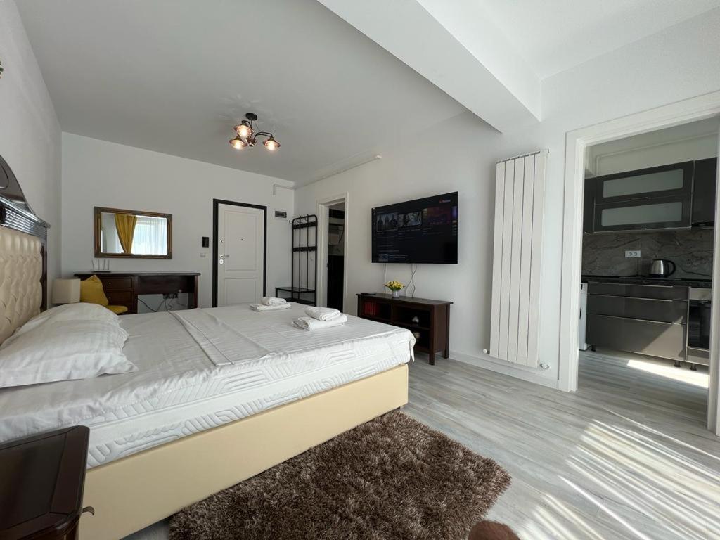 Urban Apartments And Studios - City Center Iasi Eksteriør bilde