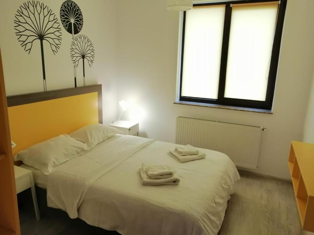 Urban Apartments And Studios - City Center Iasi Rom bilde